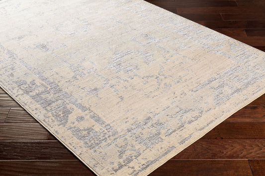 Florence FRO-2304 8' x 10' Machine Woven Area Rug