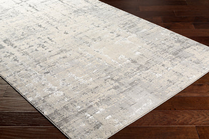 Florence FRO-2320 5' x 7' Machine Woven Area Rug