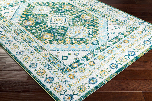 Floransa FSA-2351 5' x 7' Machine Woven Area Rug