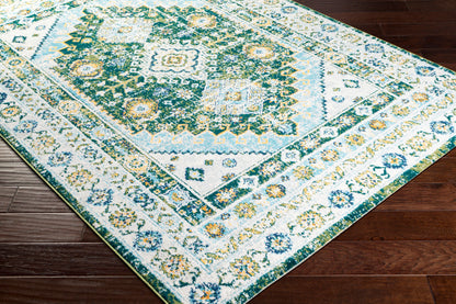 Floransa FSA-2351 9' x 12' Machine Woven Area Rug