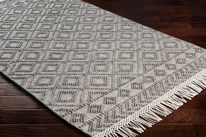 Farmhouse Tassels FTS-2302 6' x 9' Handmade Area Rug