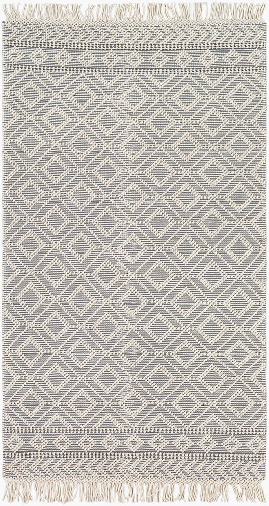 Farmhouse Tassels FTS-2303 9' x 12' Handmade Area Rug