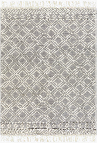 Farmhouse Tassels FTS-2303 8' x 10' Handmade Area Rug