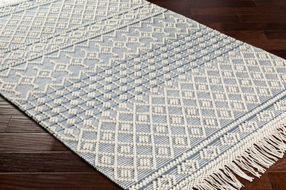 Farmhouse Tassels FTS-2304 9' x 12' Handmade Area Rug