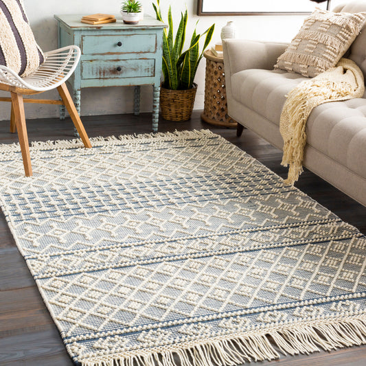 Farmhouse Tassels FTS-2304 8' x 10' Handmade Area Rug
