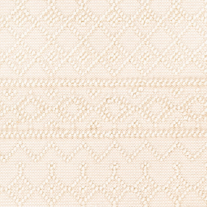 Farmhouse Tassels FTS-2305 2' x 3' Handmade Accent Rug