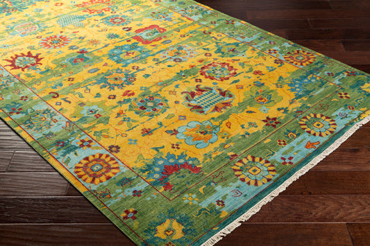 Festival FVL-1005 2' x 3' Handmade Wool Accent Rug