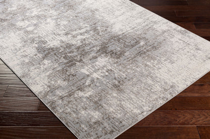 Firenze FZE-2300 5' x 7' Machine Woven Area Rug