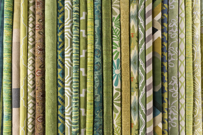 Modern Classics CAN-1958 Hand Tufted Rug