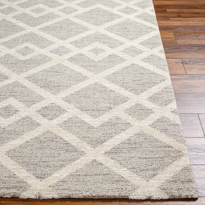Gavic GVC-2318 4' x 6' Machine Woven Area Rug
