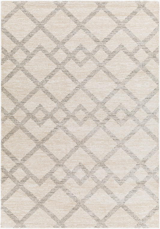 Alfombra decorativa tejida a máquina Gavic GVC-2319 de 2' x 3'