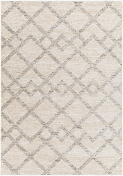 Gavic GVC-2319 4' x 6' Machine Woven Area Rug