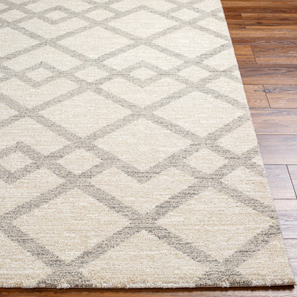 Gavic GVC-2319 5' x 7' Machine Woven Area Rug
