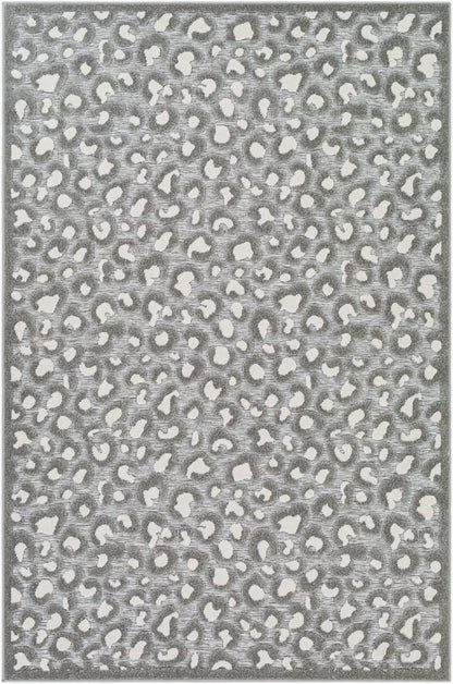 Greenwich GWC-2312 2' x 3' Machine Woven Indoor/Outdoor Accent Rug