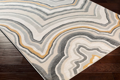 Alfombra decorativa tejida a máquina Cash HAC-2312 de 2' x 3'