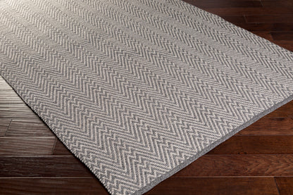 Hadis HAD-3000 2' x 3' Handmade Indoor/Outdoor Accent Rug