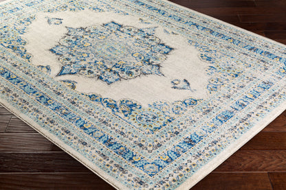 Harput HAP-1031 2' x 3' Machine Woven Accent Rug