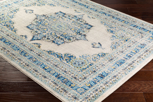 Harput HAP-1031 2' x 3' Machine Woven Accent Rug