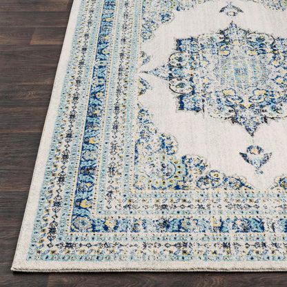 Harput HAP-1031 2' x 3' Machine Woven Accent Rug