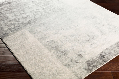 Alfombra decorativa tejida a máquina Harput HAP-1059 de 3' x 5'