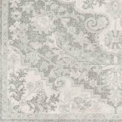 Harput HAP-1071 2' x 3' Machine Woven Accent Rug