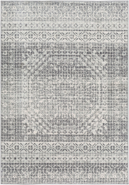 Harput HAP-1080 2' x 3' Machine Woven Accent Rug