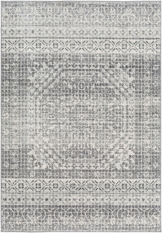 Harput HAP-1080 2' x 3' Machine Woven Accent Rug