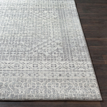 Harput HAP-1080 2' x 3' Machine Woven Accent Rug