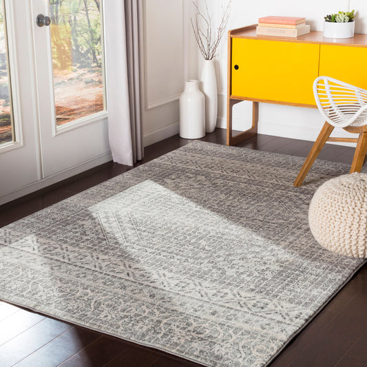 Harput HAP-1080 2' x 3' Machine Woven Accent Rug