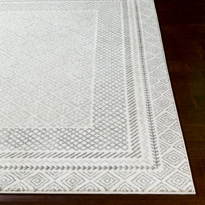 Harput HAP-1088 2' x 3' Machine Woven Accent Rug