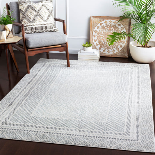 Harput HAP-1088 2' x 3' Machine Woven Accent Rug