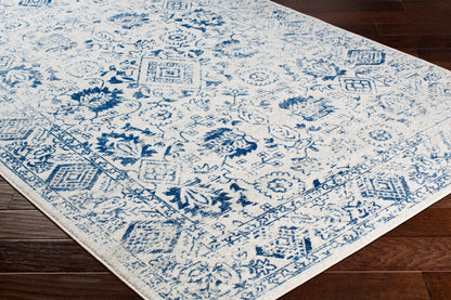 Harput HAP-1090 2' x 3' Machine Woven Accent Rug