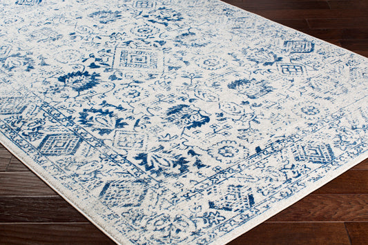 Harput HAP-1090 2' x 3' Machine Woven Accent Rug