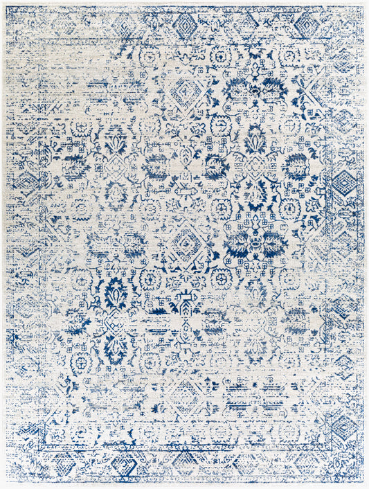 Harput HAP-1090 2' x 3' Machine Woven Accent Rug