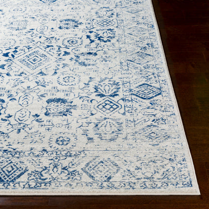 Harput HAP-1090 2' x 3' Machine Woven Accent Rug