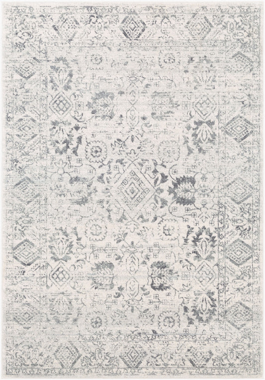 Harput HAP-1091 2' x 3' Machine Woven Accent Rug