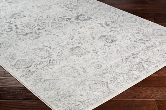 Harput HAP-1091 2' x 3' Machine Woven Accent Rug
