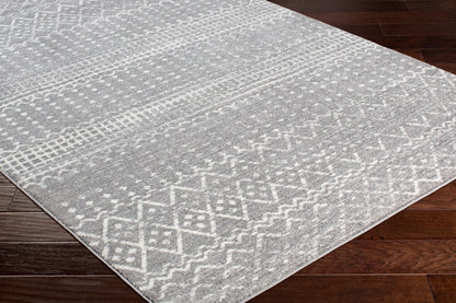 Harput HAP-1096 2' x 3' Machine Woven Accent Rug