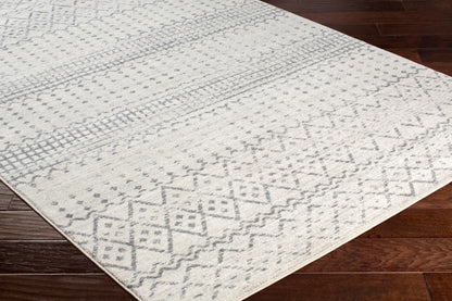 Harput HAP-1097 2' x 3' Machine Woven Accent Rug