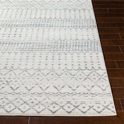 Harput HAP-1097 2' x 3' Machine Woven Accent Rug