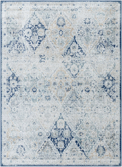Harput HAP-1169 6' x 9' Machine Woven Area Rug