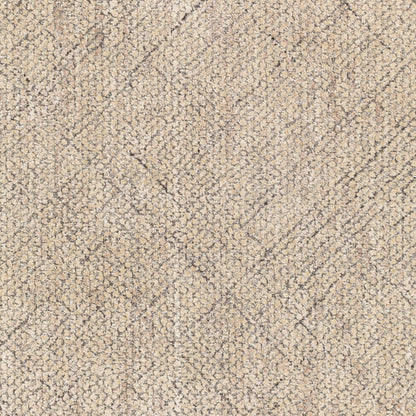 Helen HLE-2302 Hand Loomed Rug