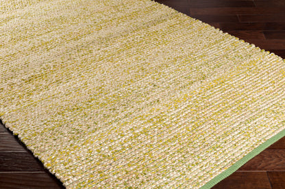Alfombra hecha a mano Hollis HLL-6000 de 4' x 6'