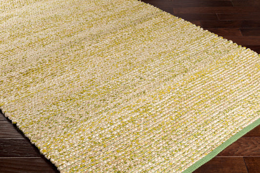 Alfombra hecha a mano Hollis HLL-6000 de 4' x 6'
