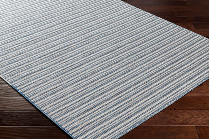 Hampton HPT-2308 9' x 12' Machine Woven Indoor/Outdoor Area Rug