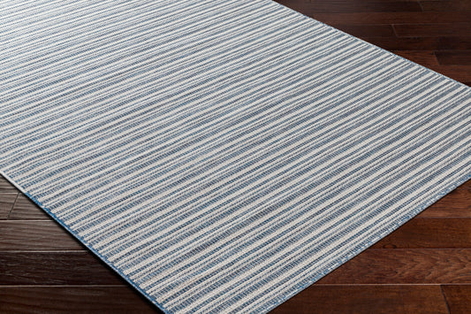 Hampton HPT-2308 9' x 12' Machine Woven Indoor/Outdoor Area Rug