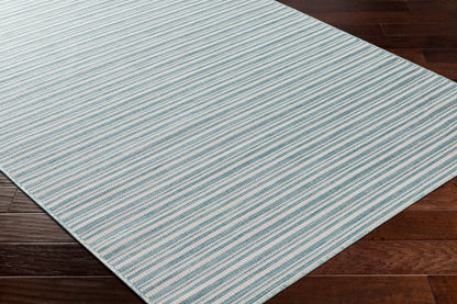 Hampton HPT-2311 7ft Square Machine Woven Indoor/Outdoor Area Rug
