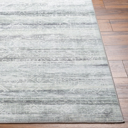 Hera HRH-2302 4' x 6' Machine Woven Washable Area Rug