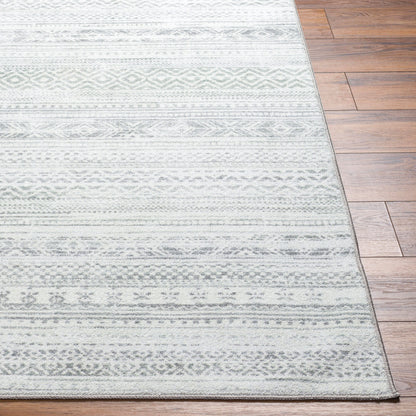 Hera HRH-2303 9' x 12' Machine Woven Washable Area Rug