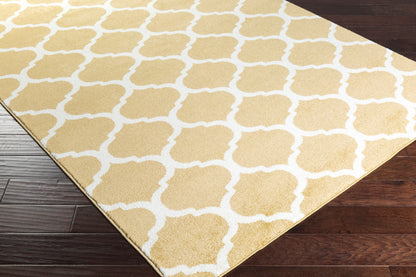 Horizon HRZ-1077 Alfombra decorativa tejida a máquina de 3' x 5'
